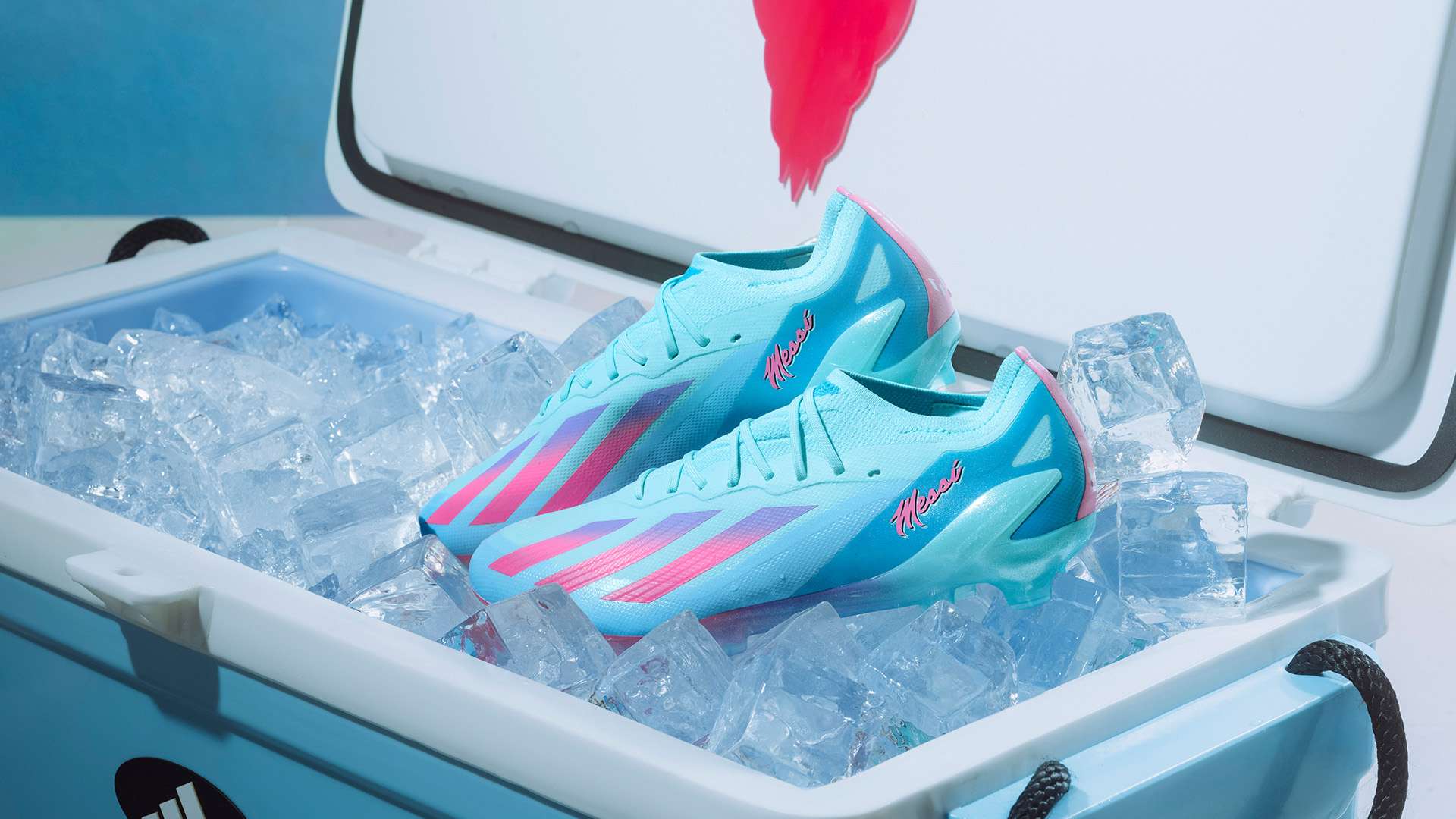 从本轮比赛 从本轮比赛