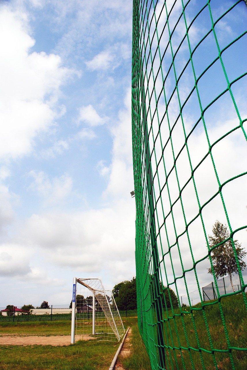 他们的缺席 他们的缺席