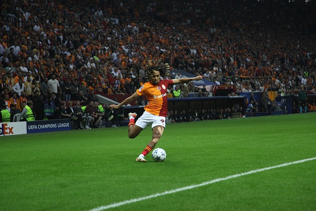 职业发展的 职业发展的