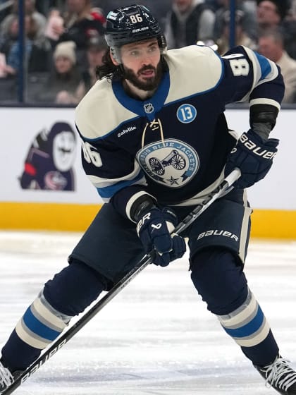 的滑雪条件 的滑雪条件