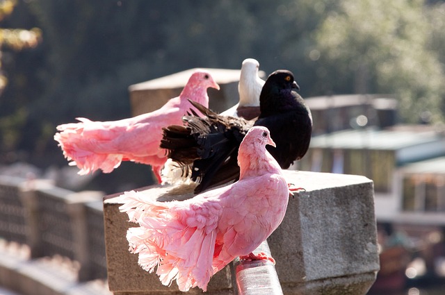更在于他们 更在于他们